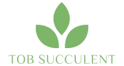TOB Succulent